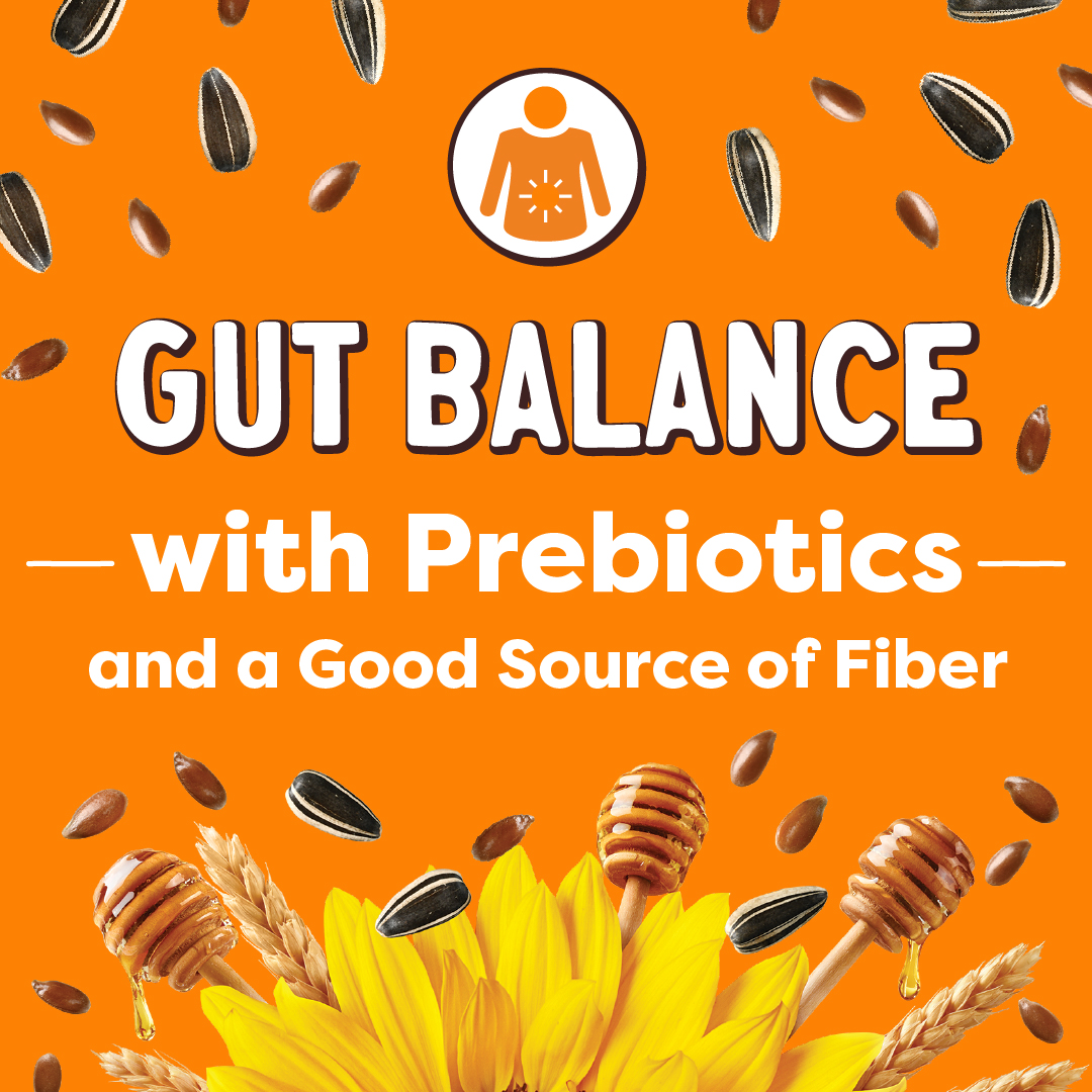 Grains Almighty Social Image Showing Seeds and Honey Sticks and Says "Gut Balance with Prebiotics and a Good Source of Fiber"