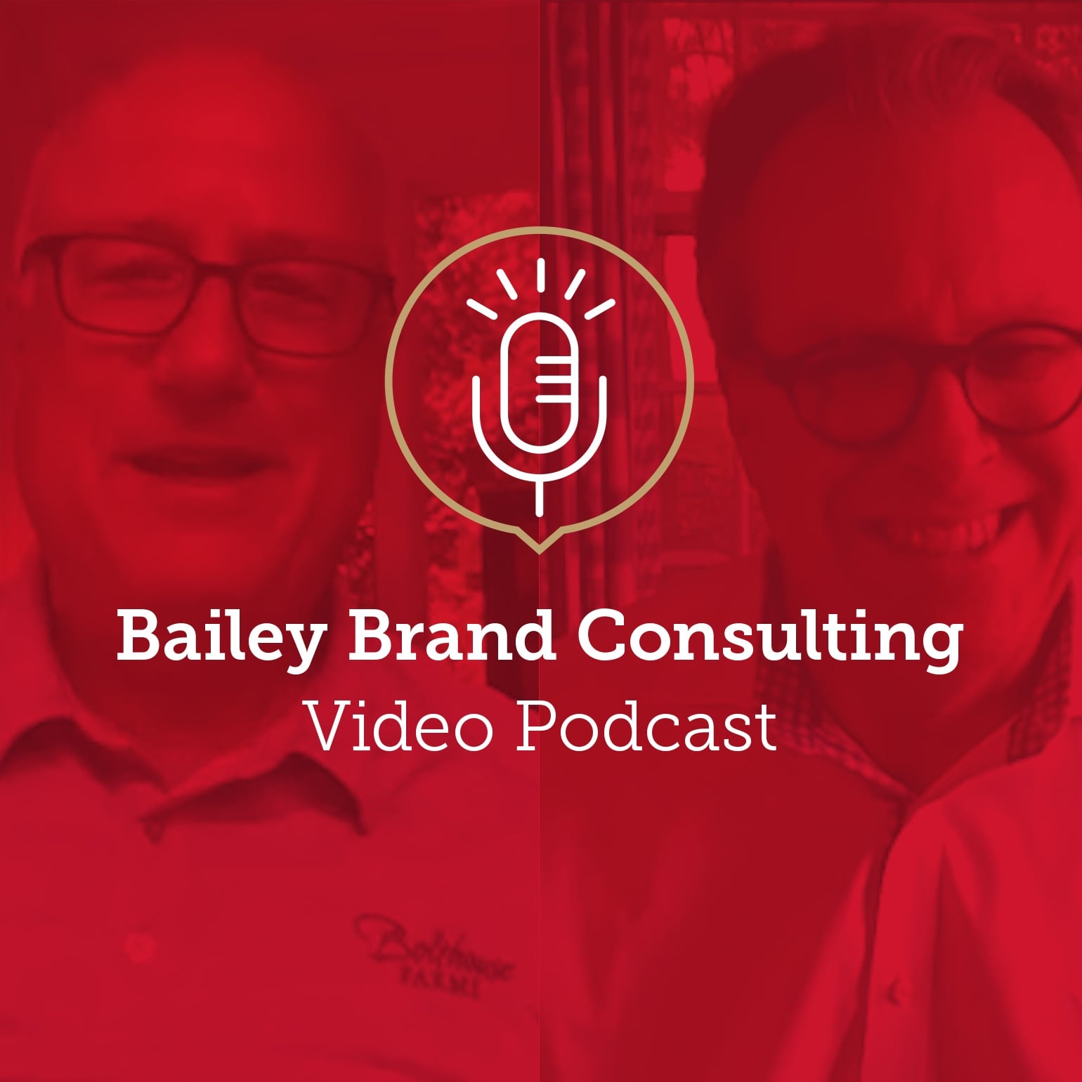 Bailey Brand Consulting Brand Purpose Podcast