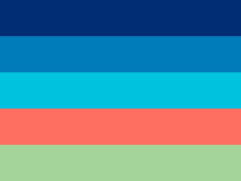 Canopy Strategic Partners Color Palette of a Dark Navy, turquoise, blue, salmon, and light green