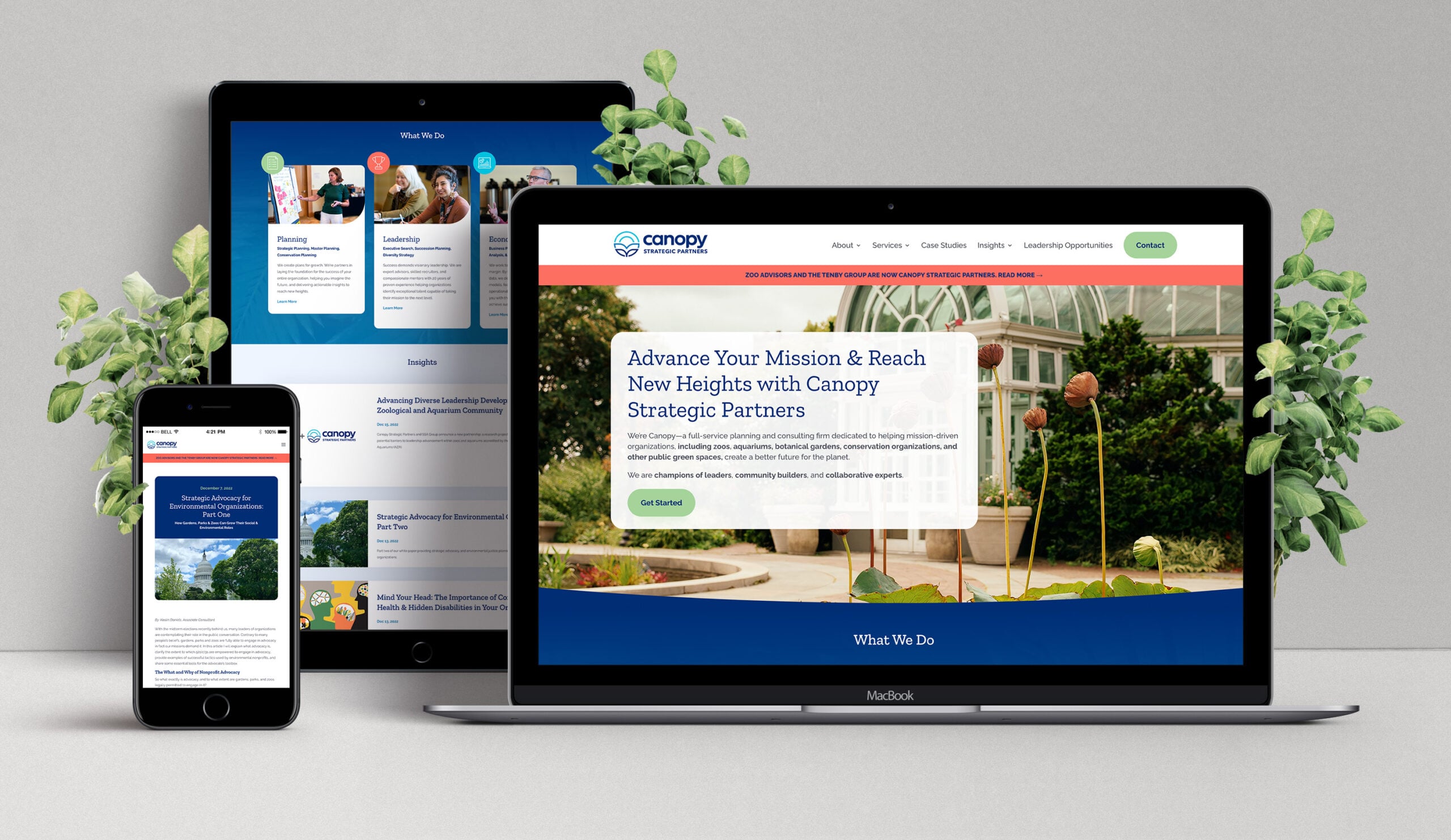 Canopy Strategic Partners Website Redesign Shown on 3 Screens in Front of Plants