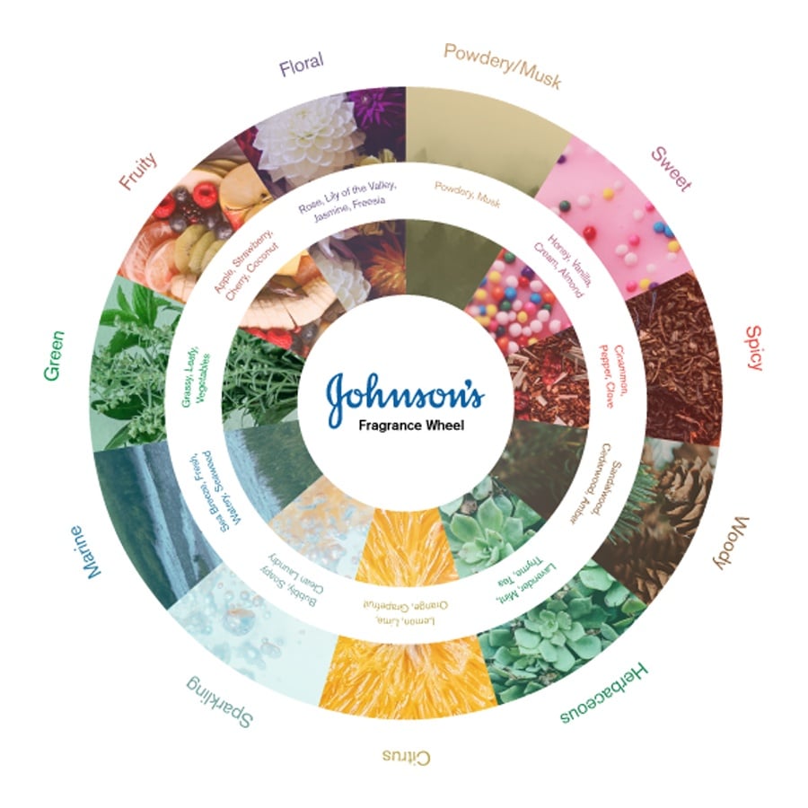 Bailey Brand consulting johnson's fragrance wheel j&j