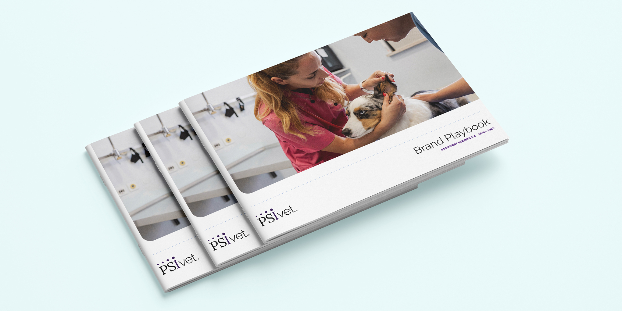 Brand Brand Consulting PSIvet Brand Guidelines & Playbook