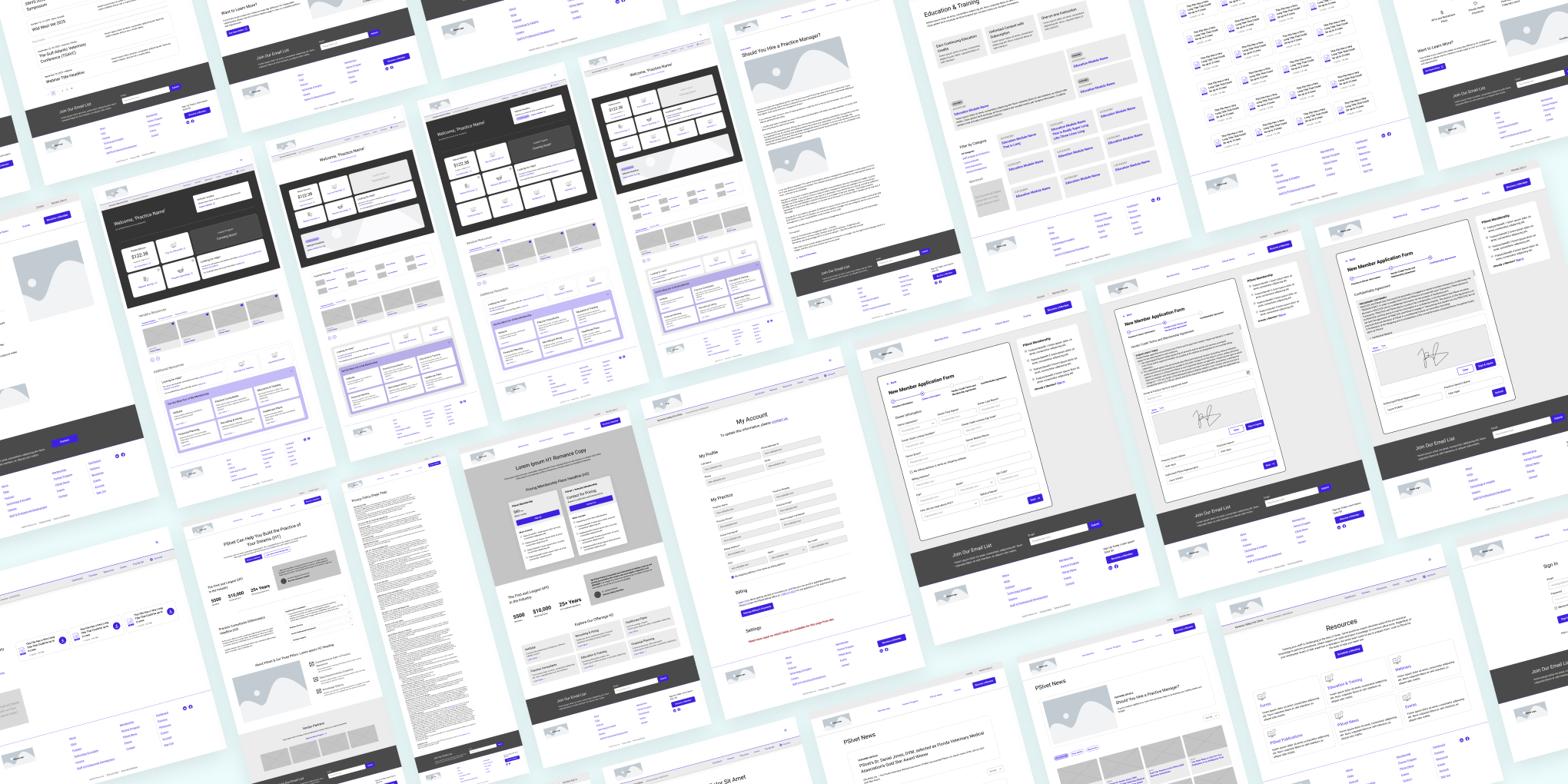 Brand Brand Consulting PSIvet showing the wireframes for the finished launched website